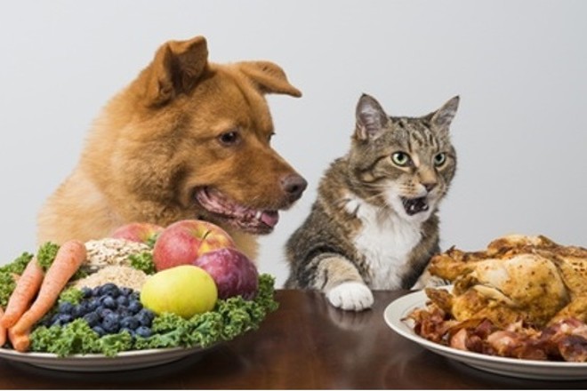 Curso de Nutricion y Dietetica Veterinaria