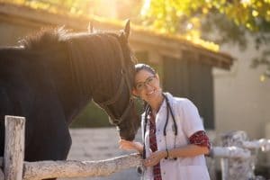 Curso de Auxiliar Veterinario Ecuestre