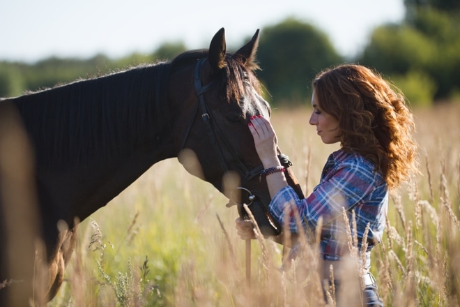 Curso de Psicología Terapéutica Equina