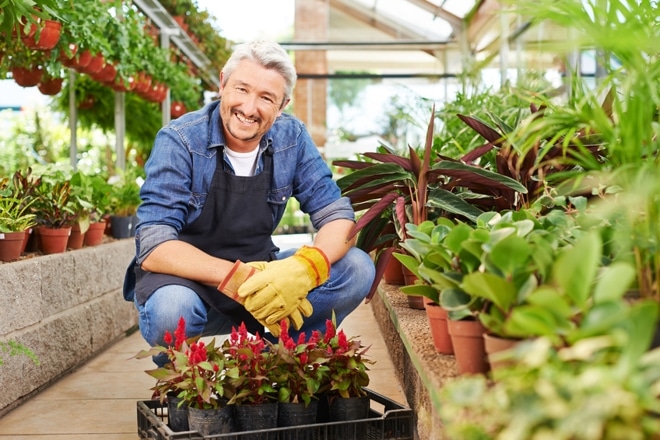 Curso de Jardinero